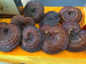 农副产品在电商峰会中占据半壁江山