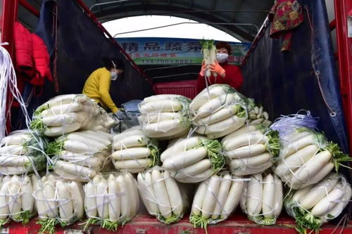 货足价稳 农副产品市场保障民生无忧