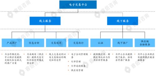 某电商公司战略规划项目案例 电子商务平台的开发建设